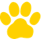 Polycat