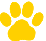 Polycat