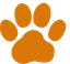 Polycat